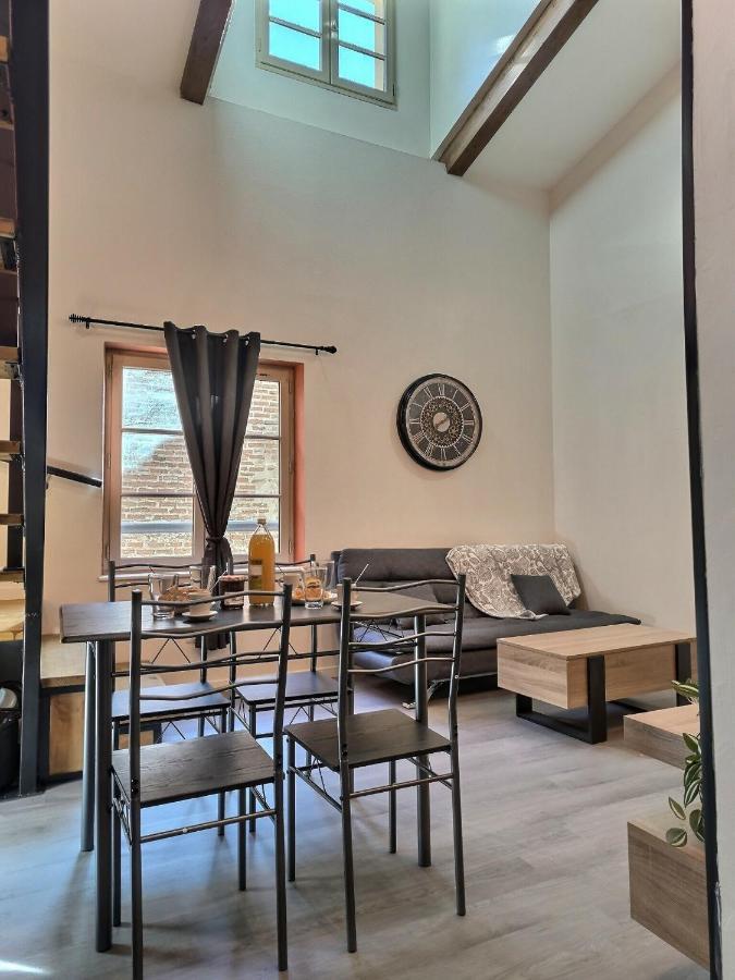 Apartament Le Coquelicot - Hyper-Centre - Wifi - Calme Albi Zewnętrze zdjęcie