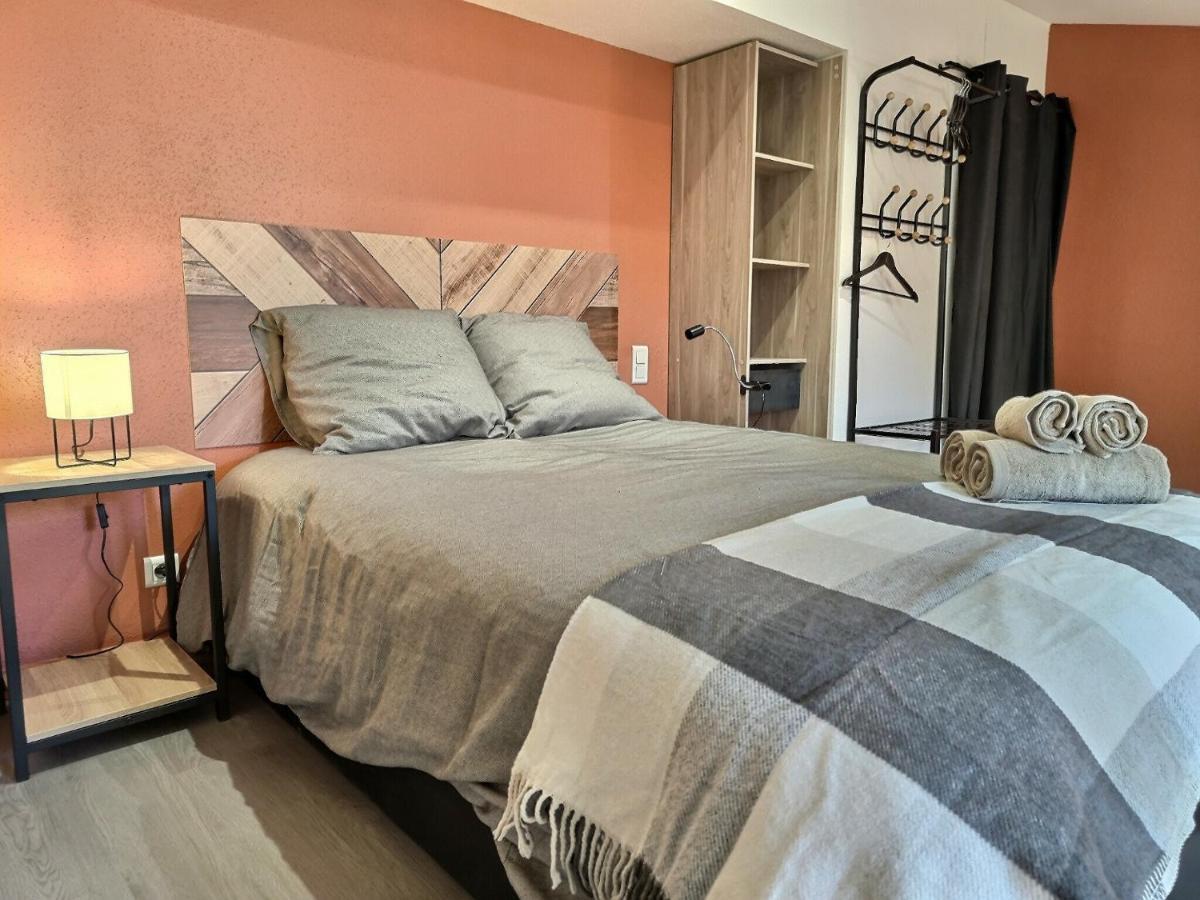 Apartament Le Coquelicot - Hyper-Centre - Wifi - Calme Albi Zewnętrze zdjęcie