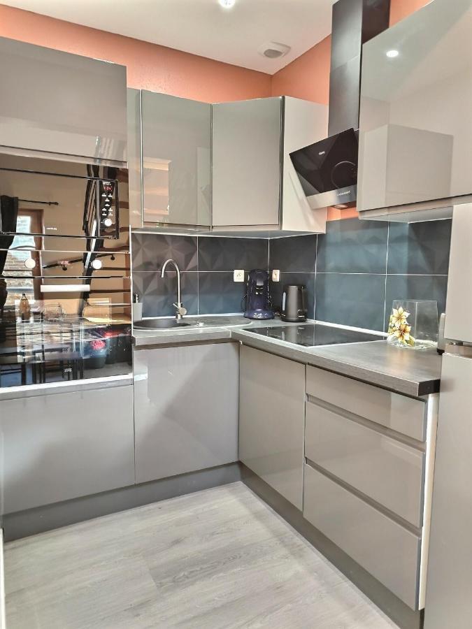 Apartament Le Coquelicot - Hyper-Centre - Wifi - Calme Albi Zewnętrze zdjęcie